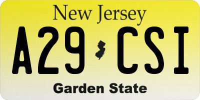NJ license plate A29CSI