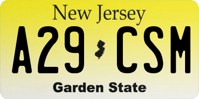 NJ license plate A29CSM
