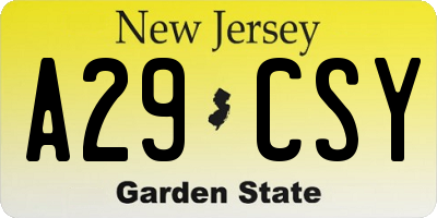 NJ license plate A29CSY