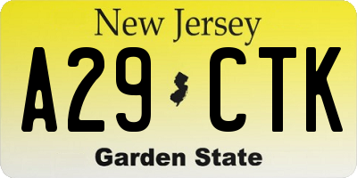 NJ license plate A29CTK