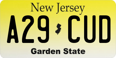 NJ license plate A29CUD