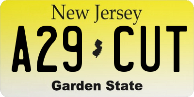 NJ license plate A29CUT