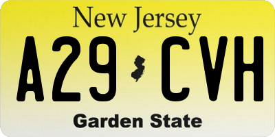 NJ license plate A29CVH