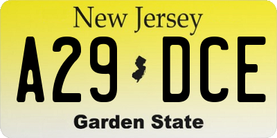 NJ license plate A29DCE