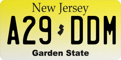 NJ license plate A29DDM
