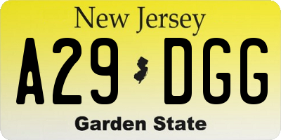 NJ license plate A29DGG