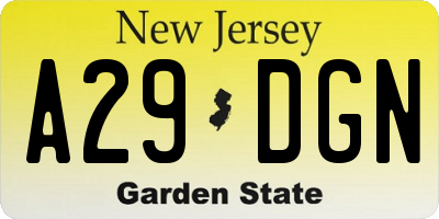 NJ license plate A29DGN