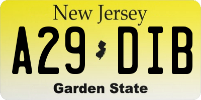NJ license plate A29DIB