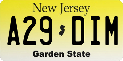 NJ license plate A29DIM