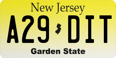NJ license plate A29DIT