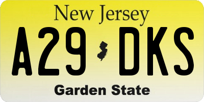 NJ license plate A29DKS