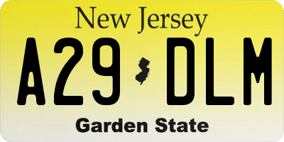 NJ license plate A29DLM