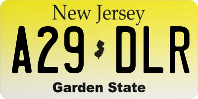 NJ license plate A29DLR