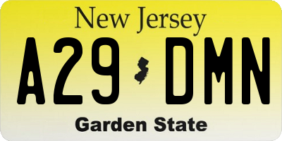 NJ license plate A29DMN