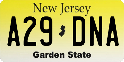 NJ license plate A29DNA
