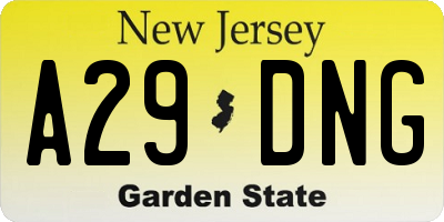 NJ license plate A29DNG