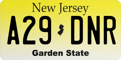 NJ license plate A29DNR