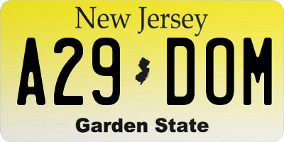 NJ license plate A29DOM