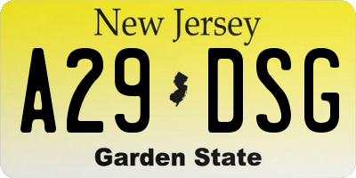 NJ license plate A29DSG