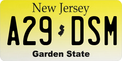 NJ license plate A29DSM