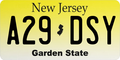 NJ license plate A29DSY