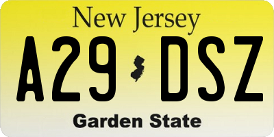 NJ license plate A29DSZ