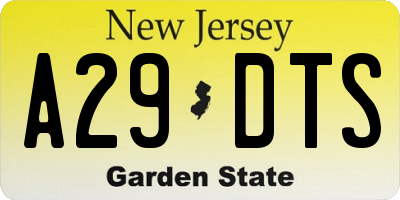 NJ license plate A29DTS