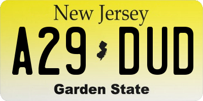 NJ license plate A29DUD