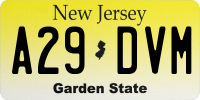 NJ license plate A29DVM
