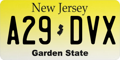 NJ license plate A29DVX