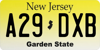 NJ license plate A29DXB