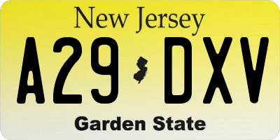 NJ license plate A29DXV