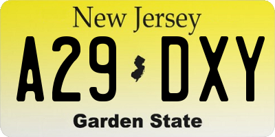 NJ license plate A29DXY