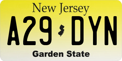 NJ license plate A29DYN