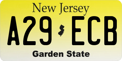 NJ license plate A29ECB