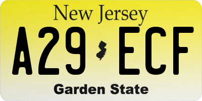 NJ license plate A29ECF