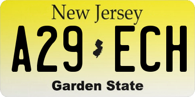 NJ license plate A29ECH