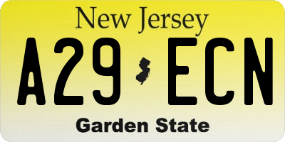 NJ license plate A29ECN