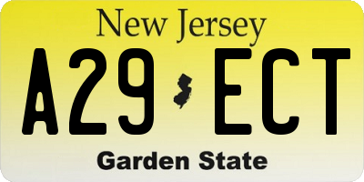 NJ license plate A29ECT