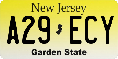 NJ license plate A29ECY