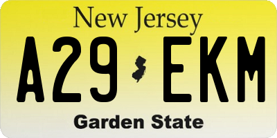 NJ license plate A29EKM