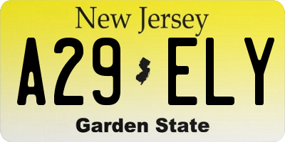 NJ license plate A29ELY