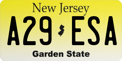 NJ license plate A29ESA