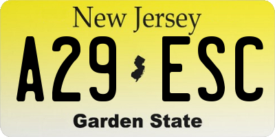 NJ license plate A29ESC