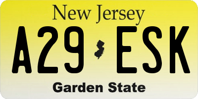 NJ license plate A29ESK