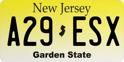 NJ license plate A29ESX