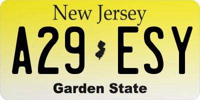 NJ license plate A29ESY