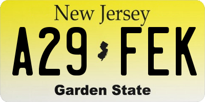 NJ license plate A29FEK