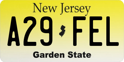 NJ license plate A29FEL