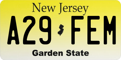 NJ license plate A29FEM